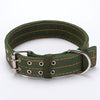 Canvas Dog Collar
