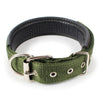 Soft Padded Dog Collar