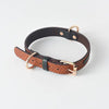 Simple Leather Dog Collar