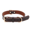 Cowhide Dog Collar