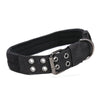 Durable Nylon Dog Collar