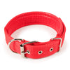 Soft Padded Dog Collar
