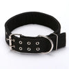 Canvas Dog Collar