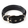 Soft Padded Dog Collar