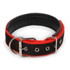 Soft Padded Dog Collar
