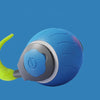 AutoPlay Cat Ball