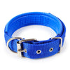 Soft Padded Dog Collar
