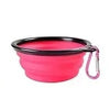 Collapsable Pet Bowl
