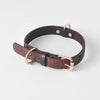 Simple Leather Dog Collar