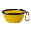 Collapsable Pet Bowl