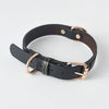 Simple Leather Dog Collar